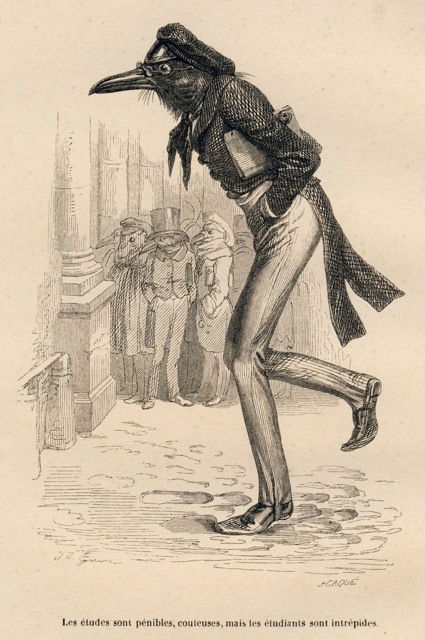 Gli studi sono difficili, costosi ma gli studenti sono intrepidi da Grandville