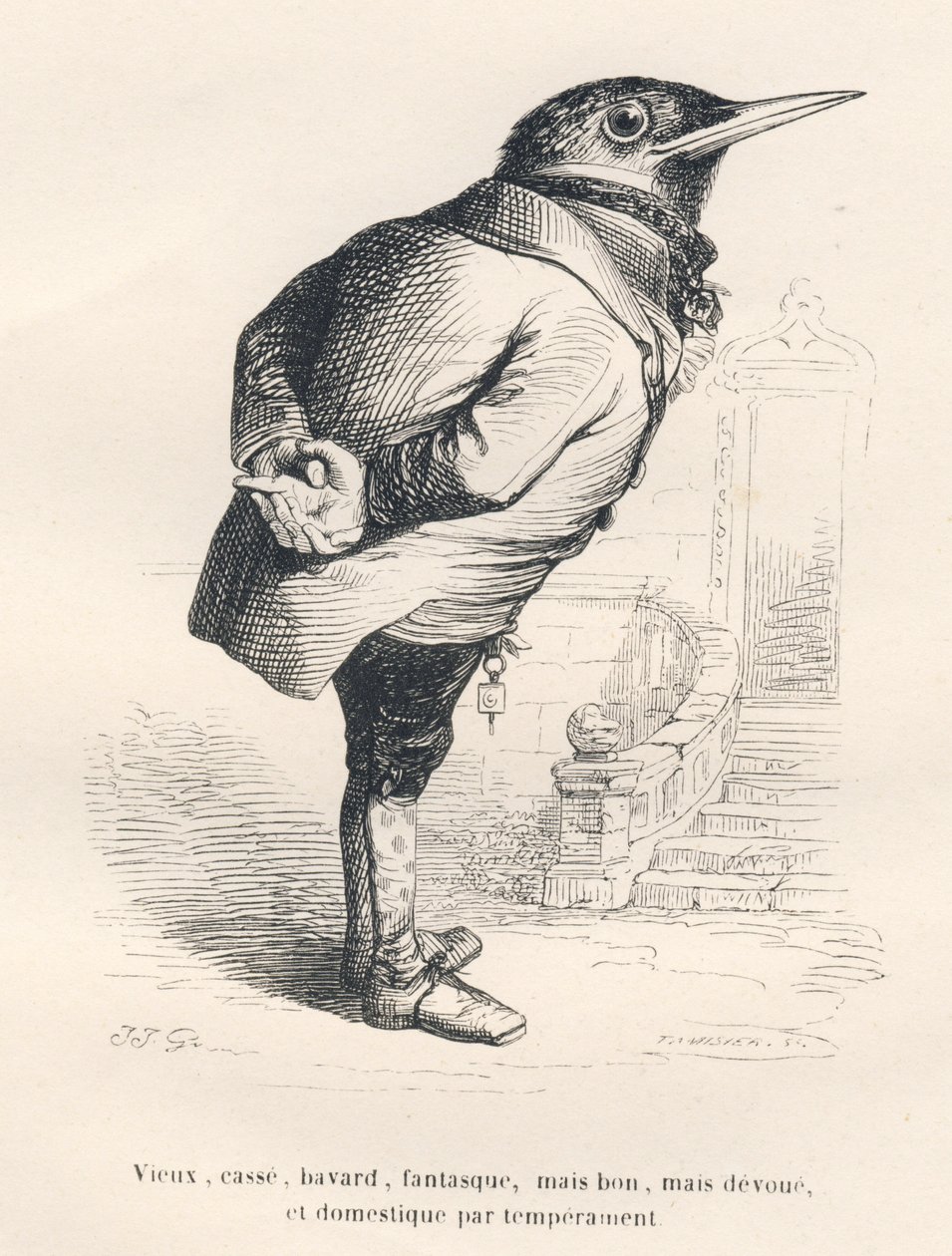 Merlo "vecchio, rotto, chiacchierone, stravagante ma buono, devoto e domestico per temperamento". Vignette illustrate da JJ Granville. Incisione firmata Tamisier nella parte intitolata "Ricordi di una vecchia cornacchia" scritto da PJ Stahl in "Scene della da Grandville