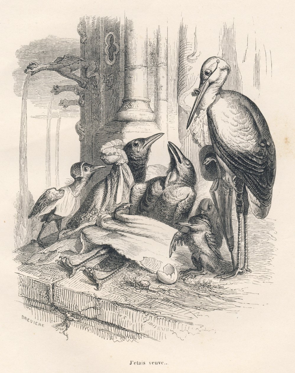 Morte di un corvo accanto alla sua famiglia e a una cicogna. Vignette illustrate da JJ Granville. Incisione firmata Breviere nella parte intitolata "Ricordi di una vecchia cornacchia" scritto da PJ Stahl in "Scene della vita privata e pubblica degli animal da Grandville