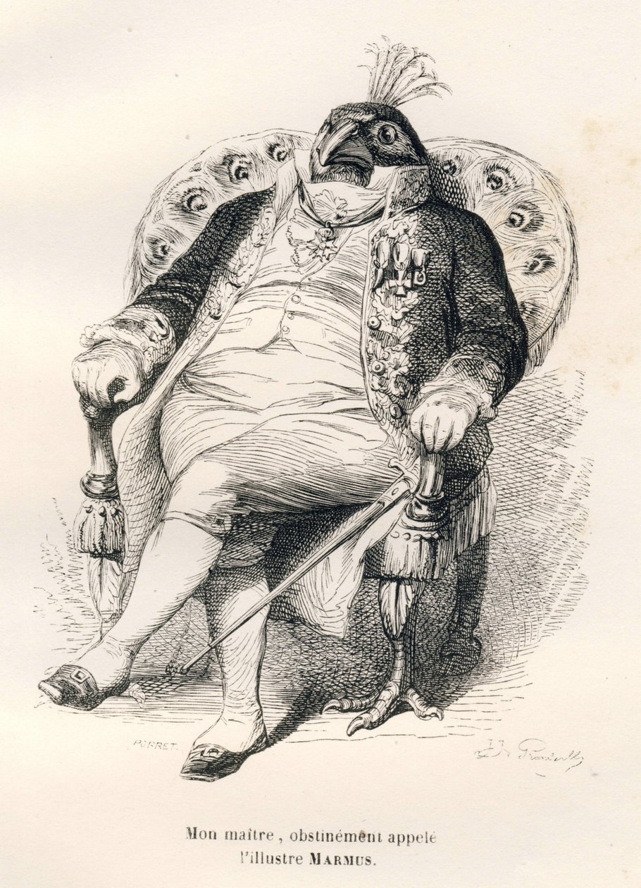 Pavone seduto sulla sua poltrona. Vignette illustrate da JJ Granville. Incisione firmata Porret nella parte intitolata "Guida-asino per gli animali che vogliono raggiungere gli onori" scritto da Honoré De Balzac in "Scene della vita privata e pubblica degl da Grandville