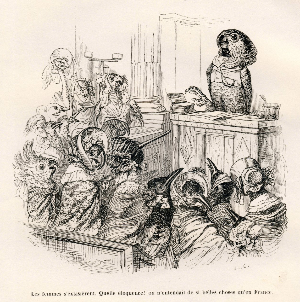 Pappagallo eloquente. Vignette illustrate da JJ Granville. Incisione firmata Porret nella parte intitolata "Guida-asino per gli animali che vogliono raggiungere gli onori" scritto da Honoré De Balzac in "Scene della vita privata e pubblica degli animali" da Grandville
