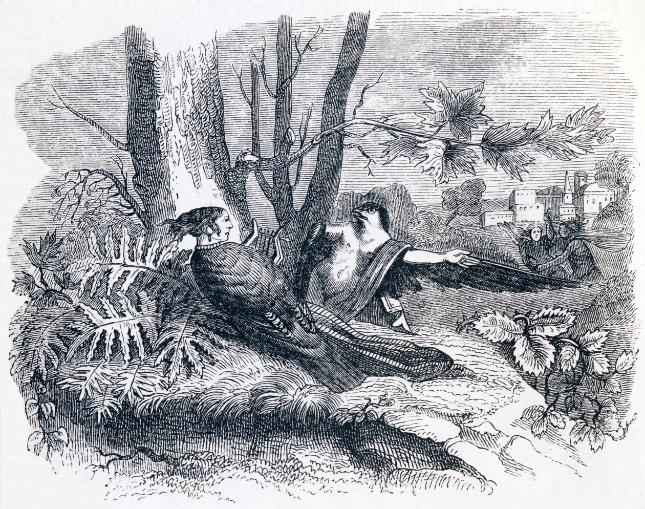 Filomela e Progne - Favole di La Fontaine da Grandville