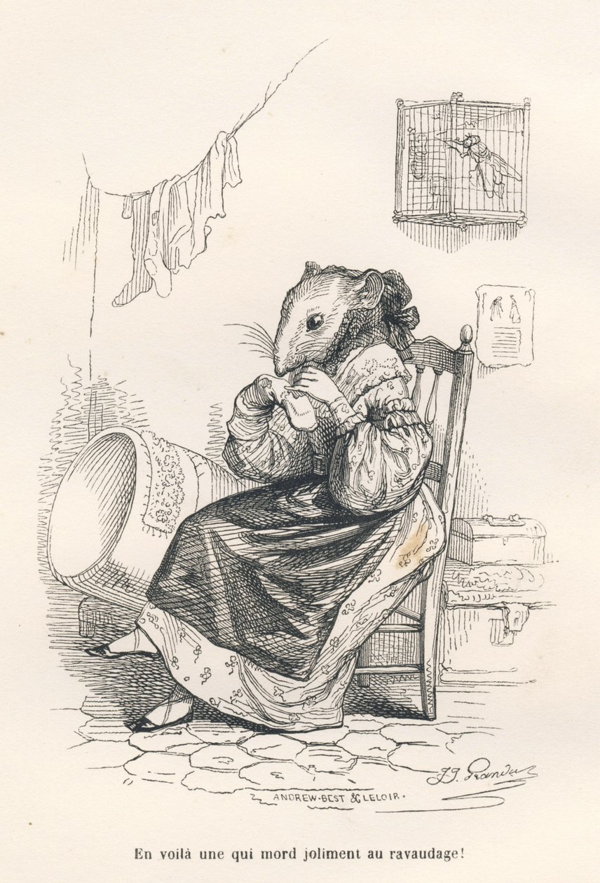 Topo che rammenda una calza. Vignette illustrate da JJ Granville. Incisione firmata Andrew, Best et Leloir nella parte intitolata "Le rat philosophe" scritta da Edouard Lemoine in "Scenes de la vie privee et publique des animaux". Paris, J. Hetzel et Pauli da Grandville
