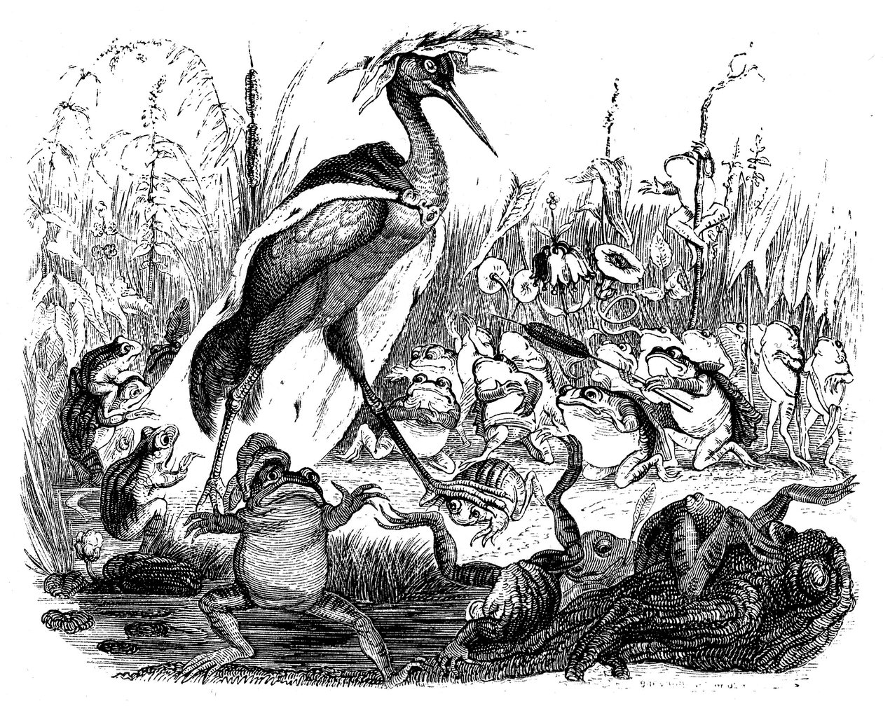 Le rane chiedono il re, illustrazione dalle 