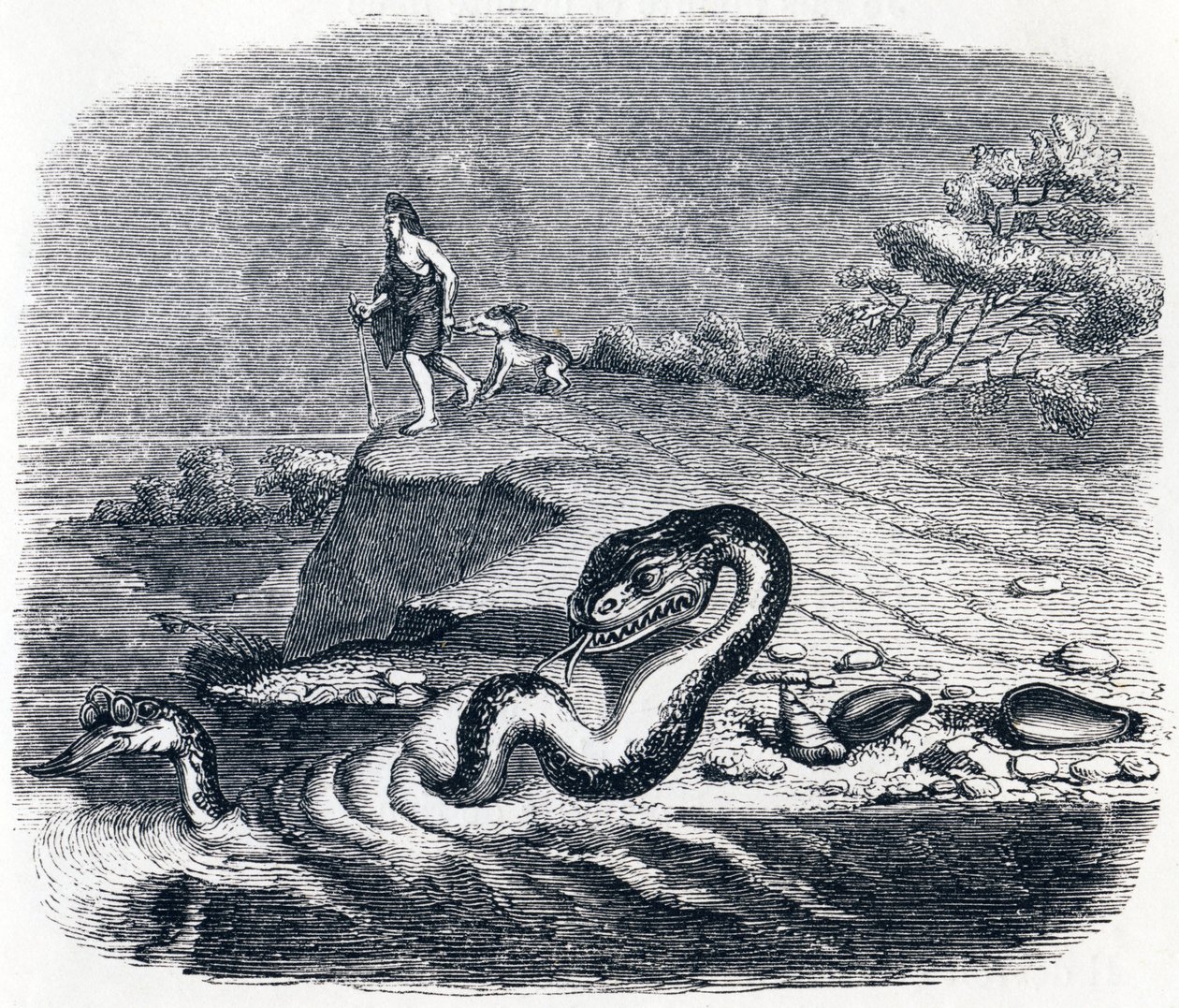 La testa e la coda del serpente (La tête et la queue du serpent) - Favole di La Fontaine da Grandville
