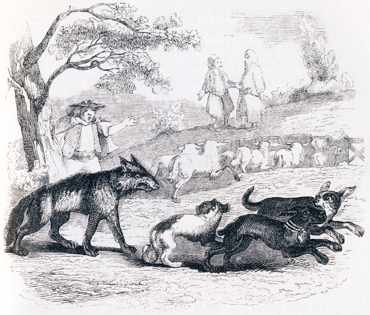Il bassa e il mercante (Le bassa et le marchand) - Favole di La Fontaine da Grandville