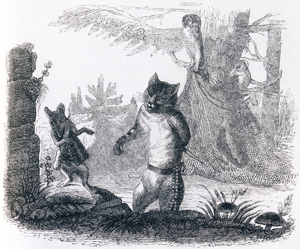 Il gatto e il topo da Grandville