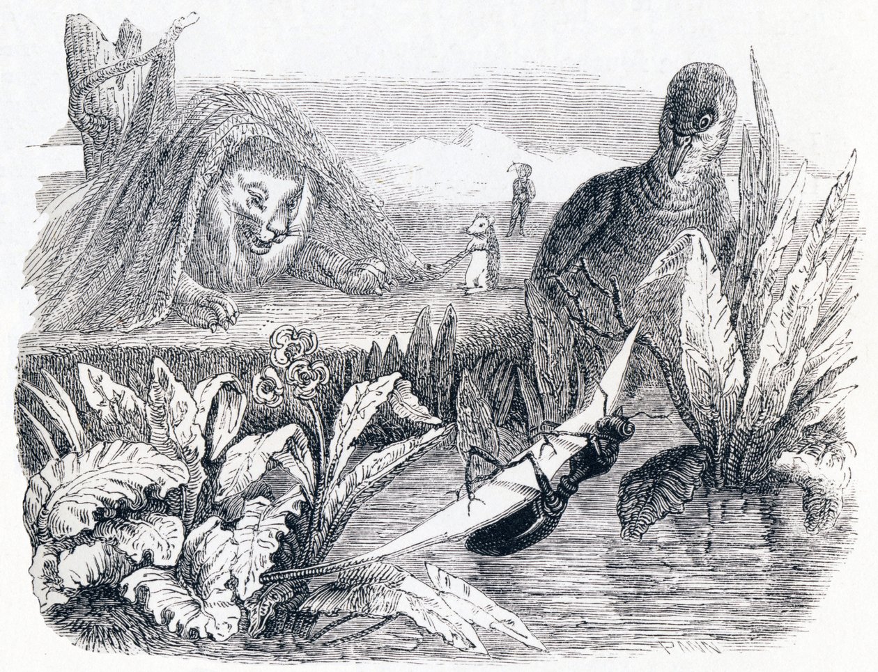La colomba e la formica (La colombe et la fourmi) - Favole di La Fontaine da Grandville