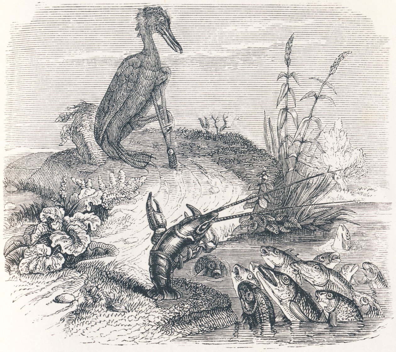 I pesci e il cormorano da Grandville