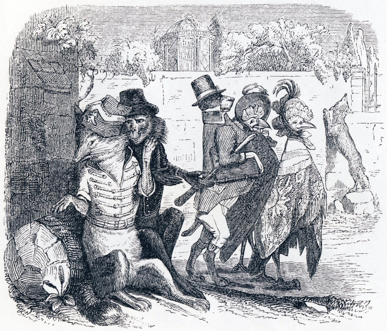 La volpe e l