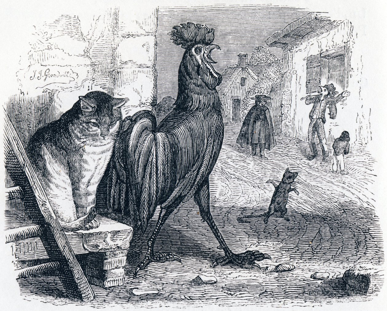 Il gallo, il gatto e il topolino (Le cochet, le chat et le souriceau) - Favole di La Fontaine da Grandville
