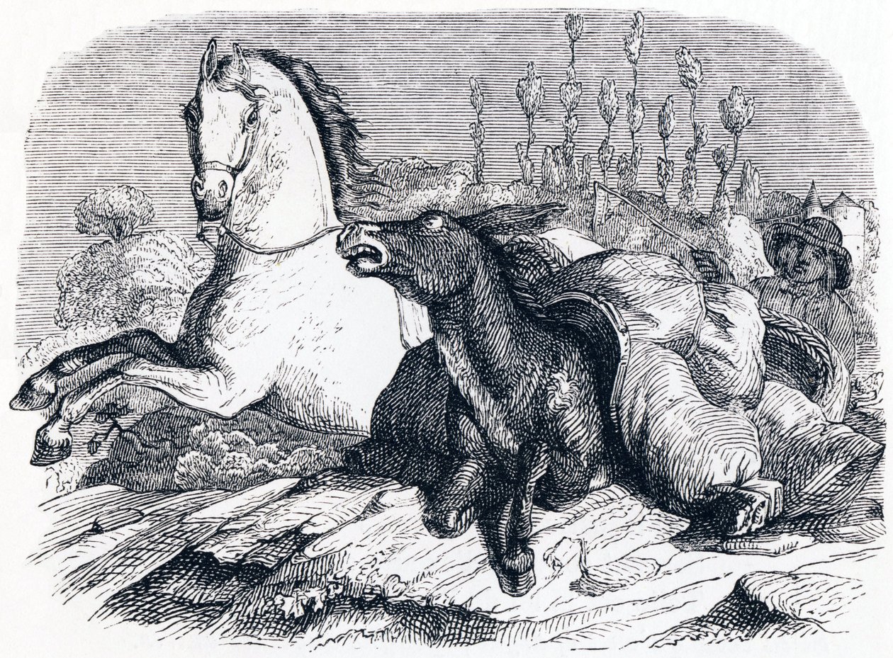 Il cavallo e l