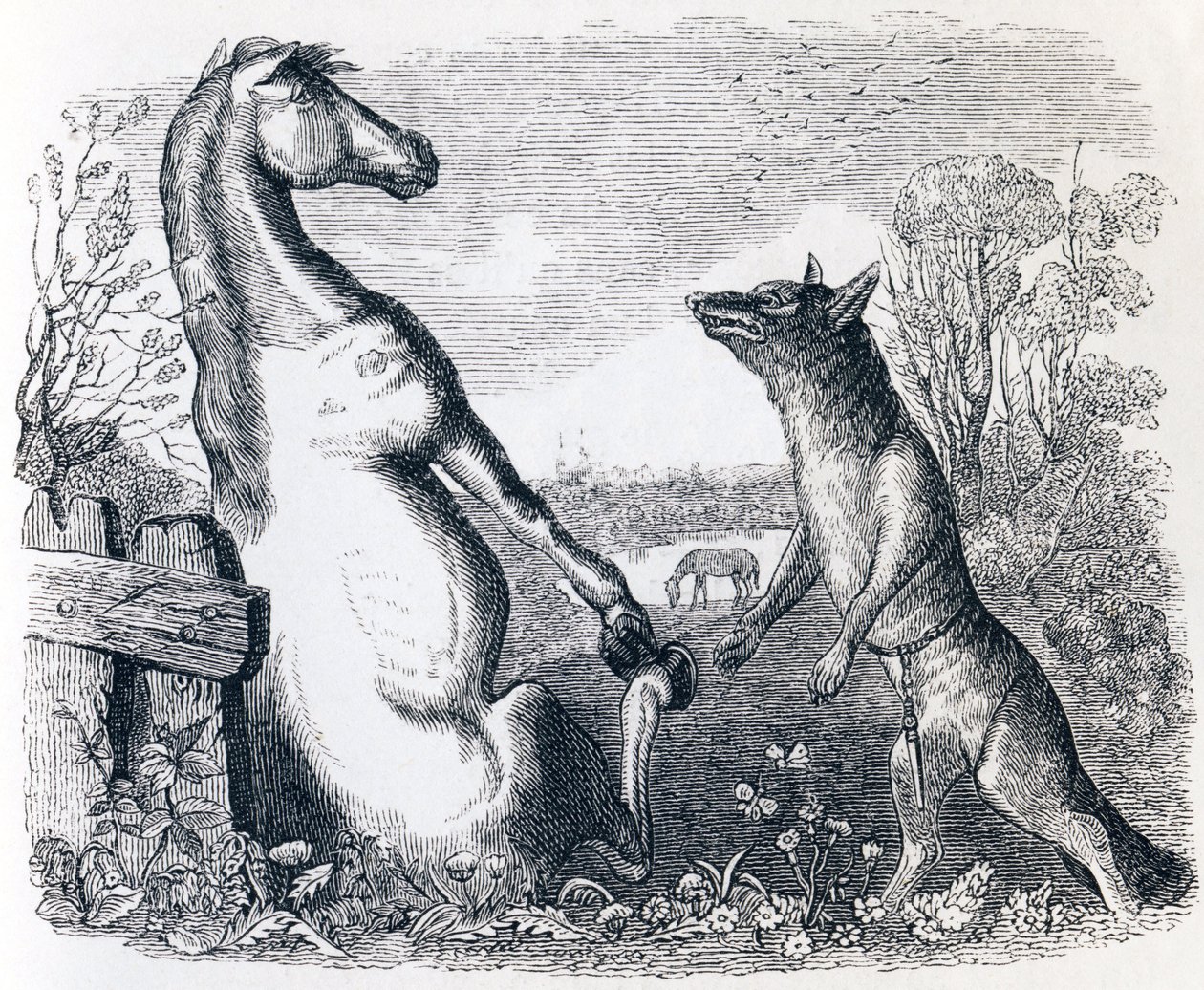 Il cavallo e il lupo (Le cheval et le loup) - Favole di La Fontaine da Grandville