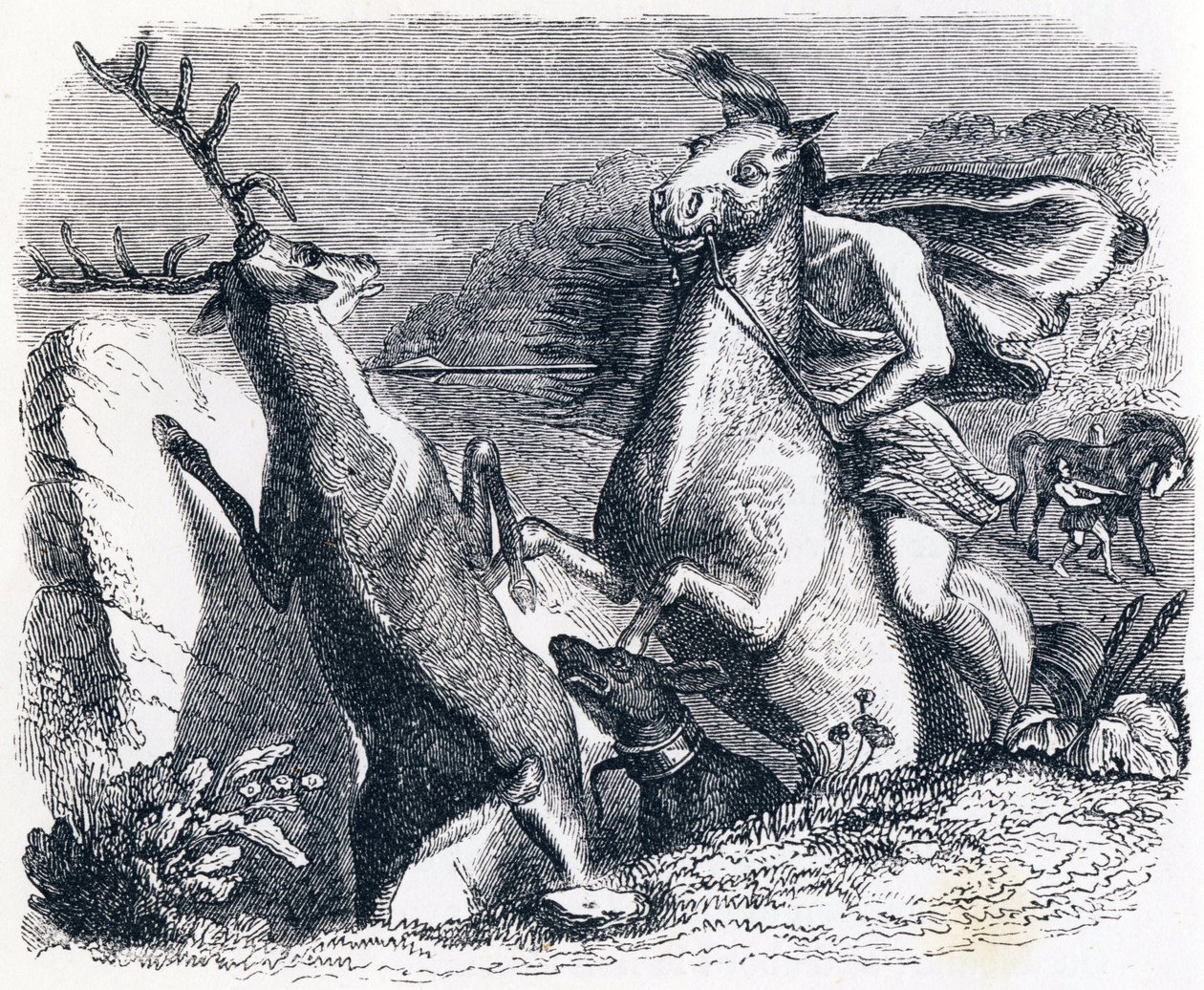 Il cavallo che voleva vendicarsi del cervo da Grandville