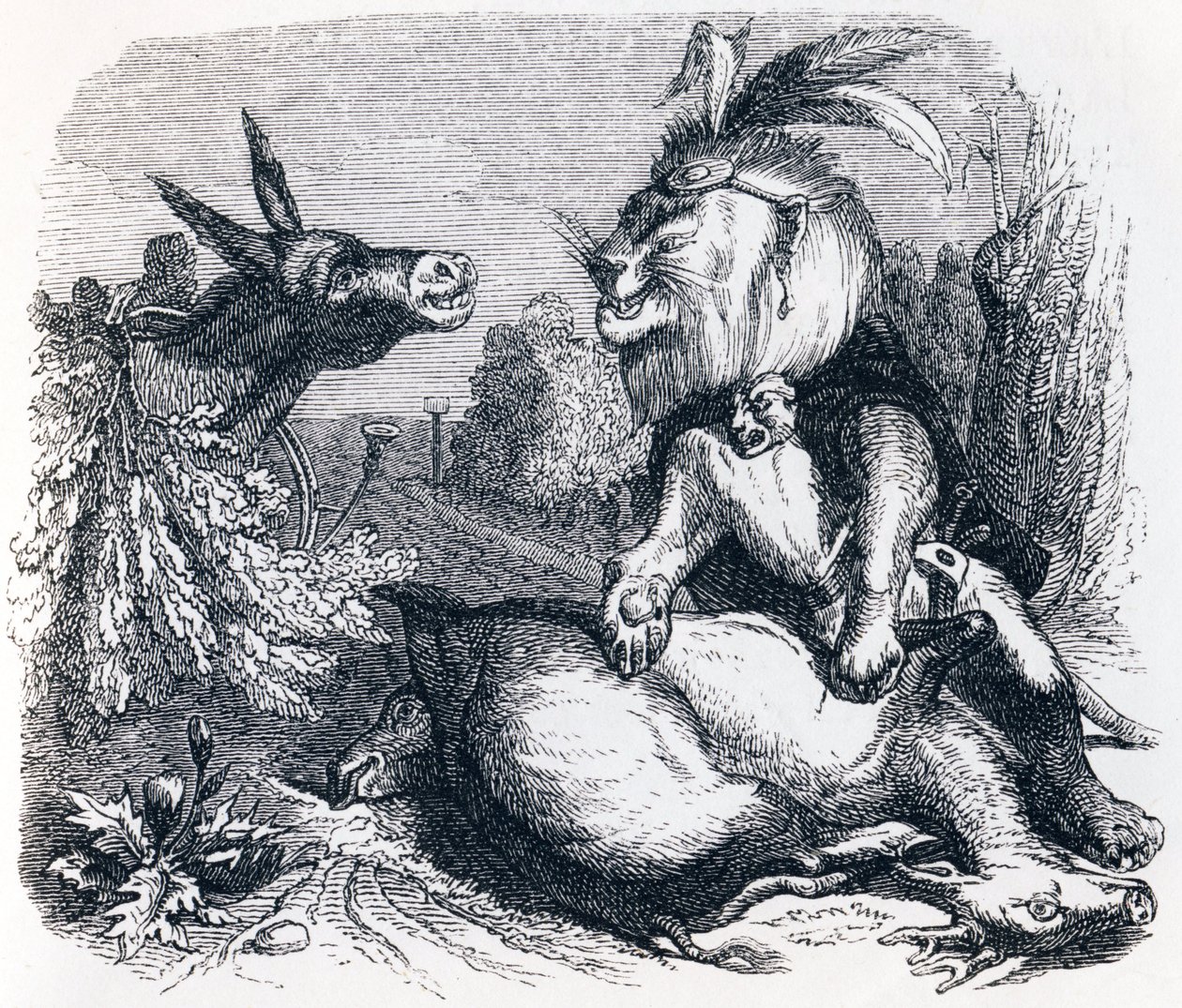 Il leone e l