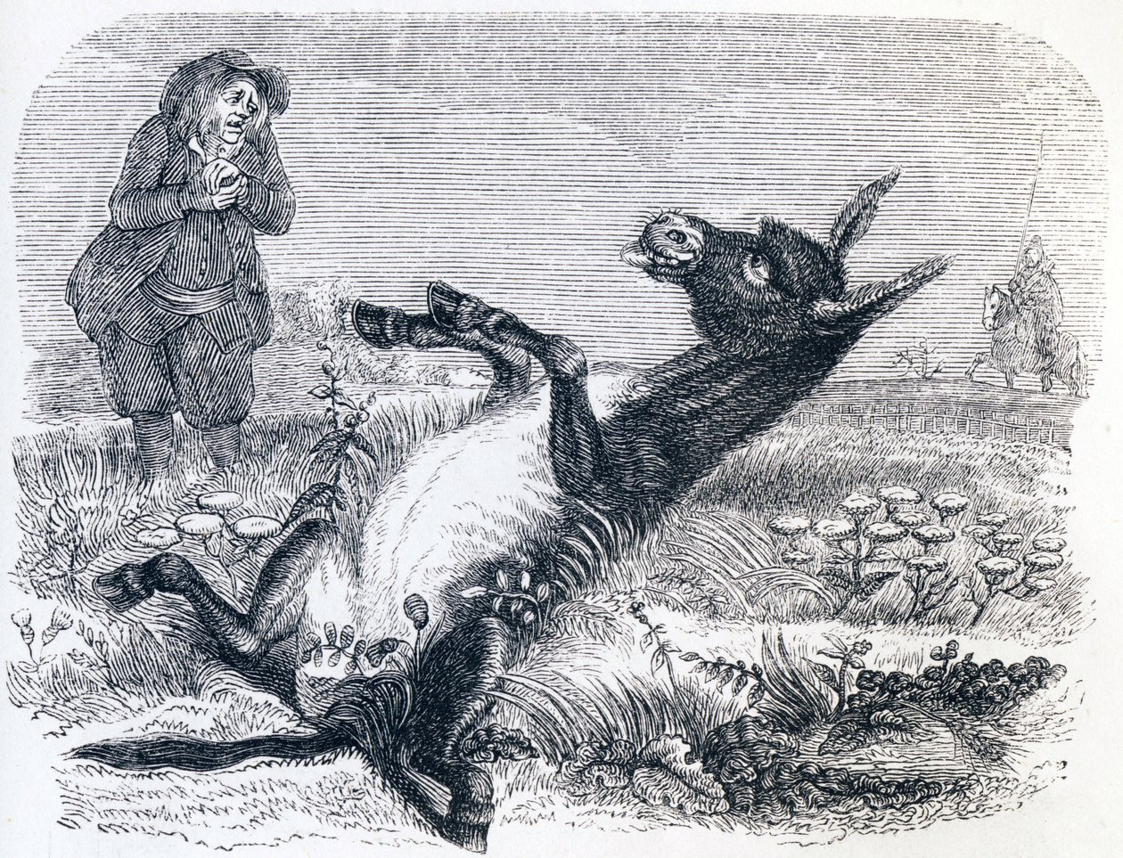 Il vecchio e la volpe da Grandville