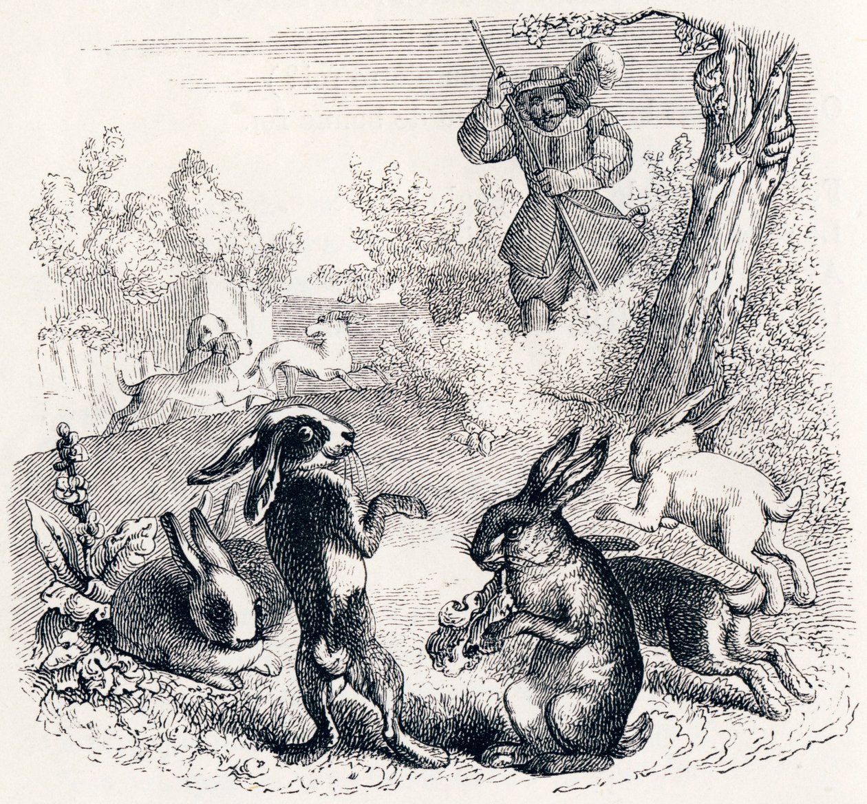 I conigli (Les lapins) - Favole di La Fontaine da Grandville