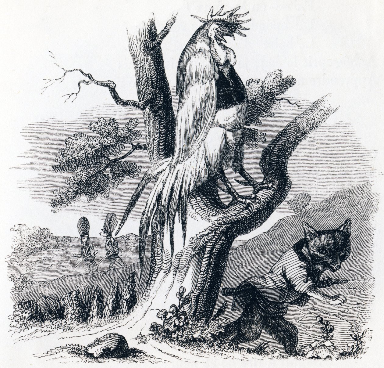 Il gallo e la volpe (Le coq et le renard) - Favole di La Fontaine da Grandville