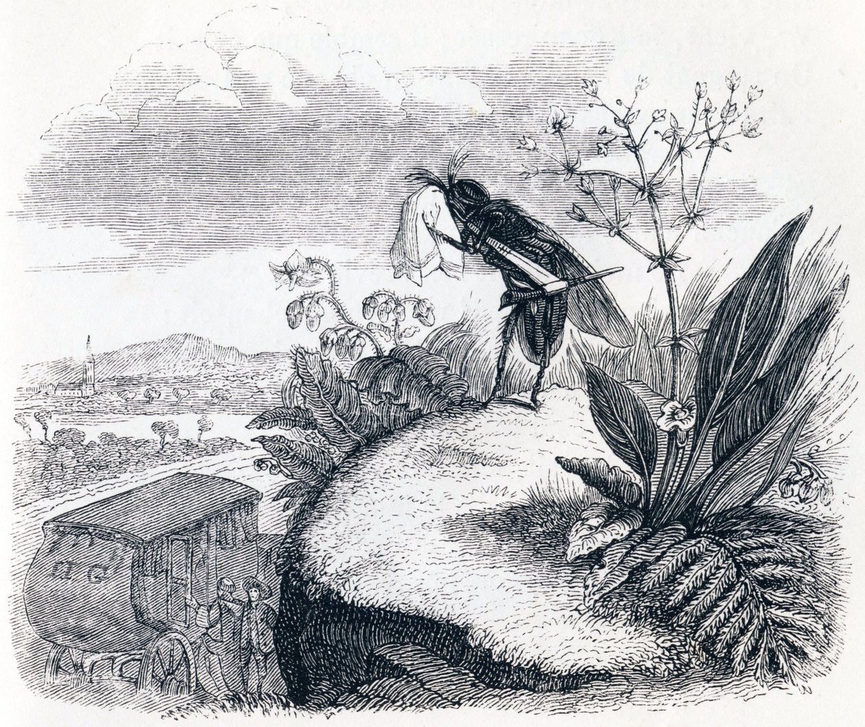La carrozza e la mosca - Favole di La Fontaine da Grandville