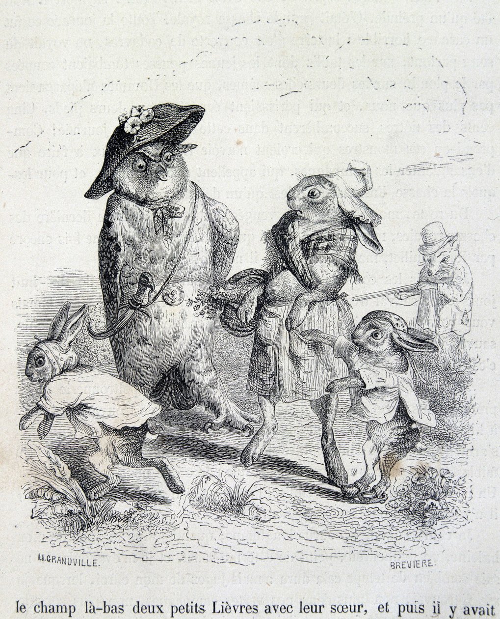 I due leprotti, la loro sorella e il gufo da Grandville