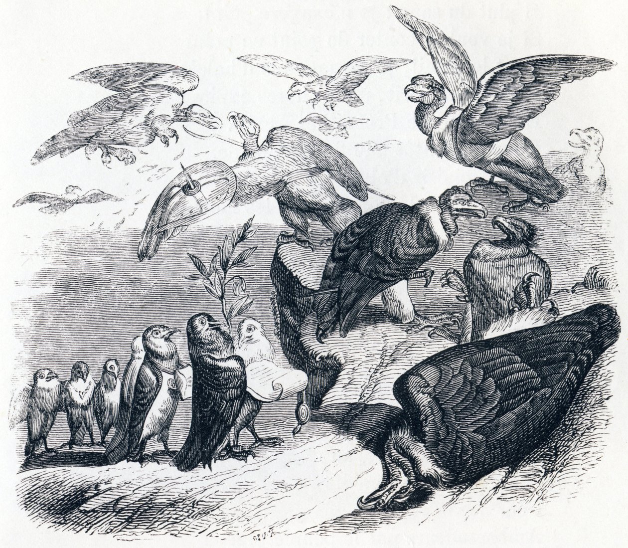 Gli avvoltoi e i piccioni da Grandville