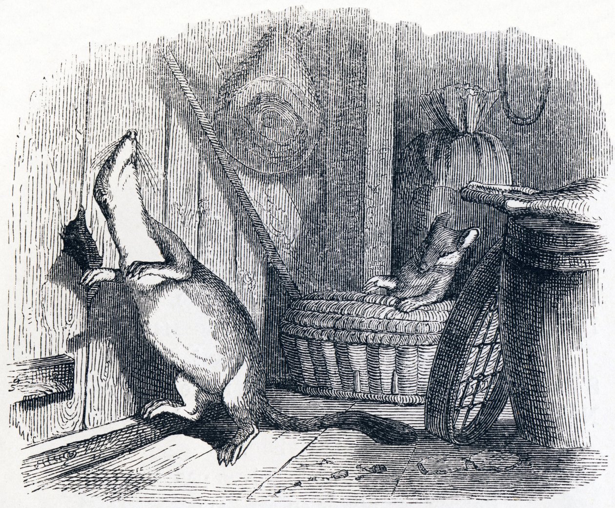 La donnola entra in un granaio (La belette entrée dans un grenier) - Favole di La Fontaine da Grandville