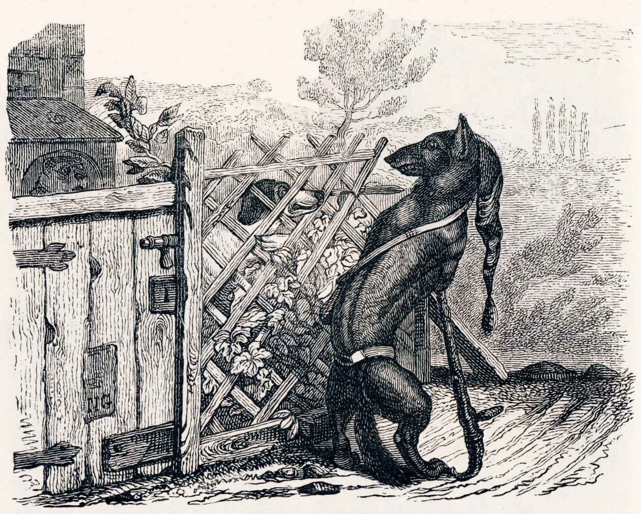 Il lupo e il cane magro - Favole di La Fontaine da Grandville