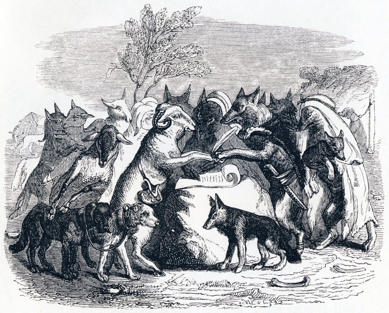 I lupi e le pecore da Grandville