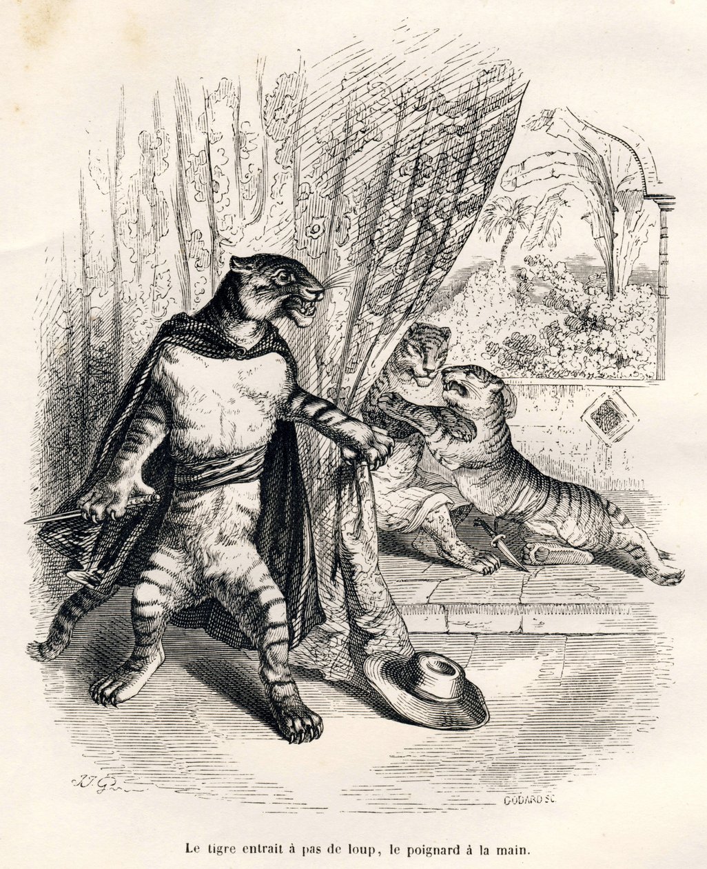 Tigre che entra in scena con il pugnale in mano. Vignette illustrate da JJ Granville. Incisione firmata Godard nella parte intitolata "Le premier feuilleton de Pistolet" scritta da Jules Janin in "Scenes de la vie privee et publique des animaux". Paris, J. da Grandville