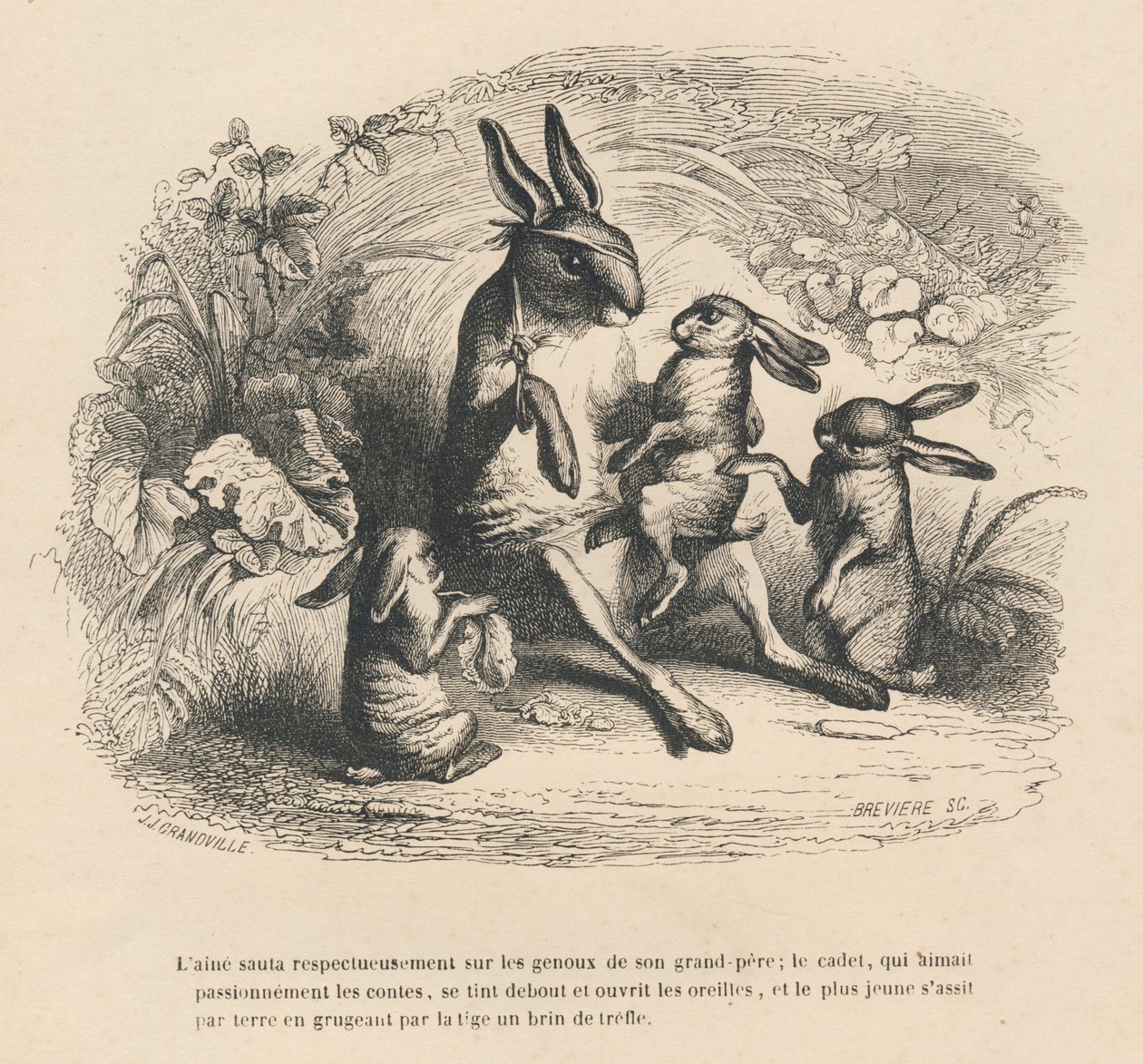 Tre bambini conigli che ascoltano il loro nonno ferito raccontare storie. Vignette illustrate da JJ Granville. Incisione firmata Breviere nella parte "Storia di una lepre" scritto da PJ Stahl in "Scene della vita privata e pubblica degli animali". Parigi da Grandville