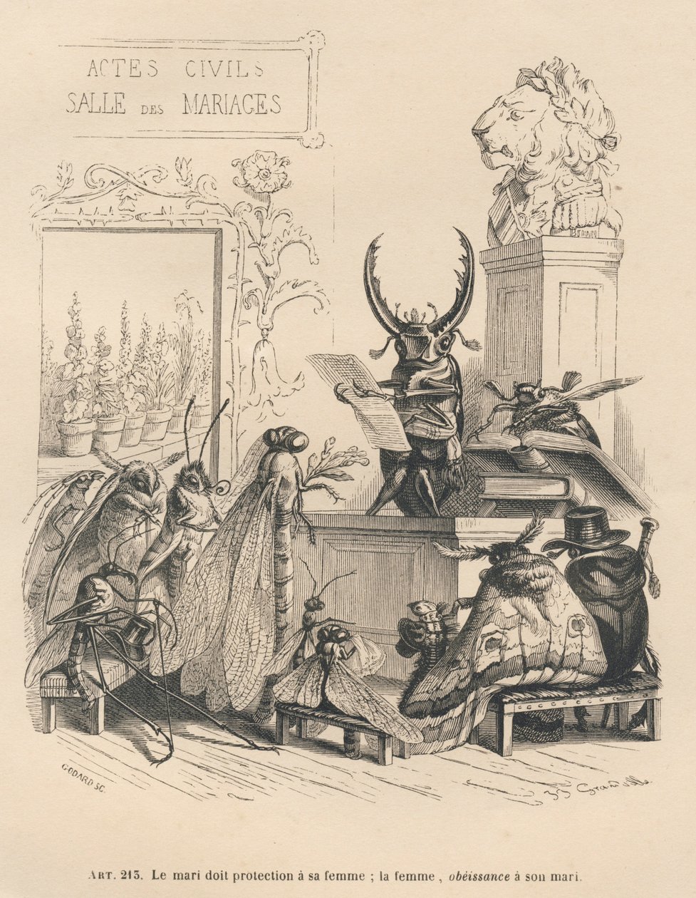 Voti di matrimonio di insetti. Vignette illustrate da JJ Granville. Incisione firmata Godard nella parte intitolata "Le avventure di una farfalla" scritto da PJ Stahl in "Scene della vita privata e pubblica degli animali". Parigi, J. Hetzel e Paulin da Grandville