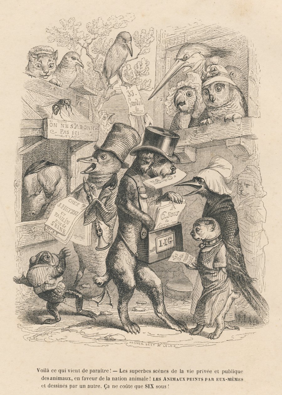 Ecco cosa è appena uscito. Gatto e uccello che vendono il presente libro per sei soldi. Vignette illustrate da JJ Granville. Incisione firmata Andrew, Best e Leloir nel prologo intitolato "Résumé parlementaire" scritto da PJ Stahl in "Scenes de la vie da Grandville