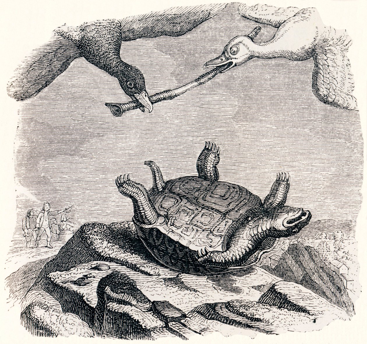 La tartaruga e le due anatre - Favole di La Fontaine da Grandville