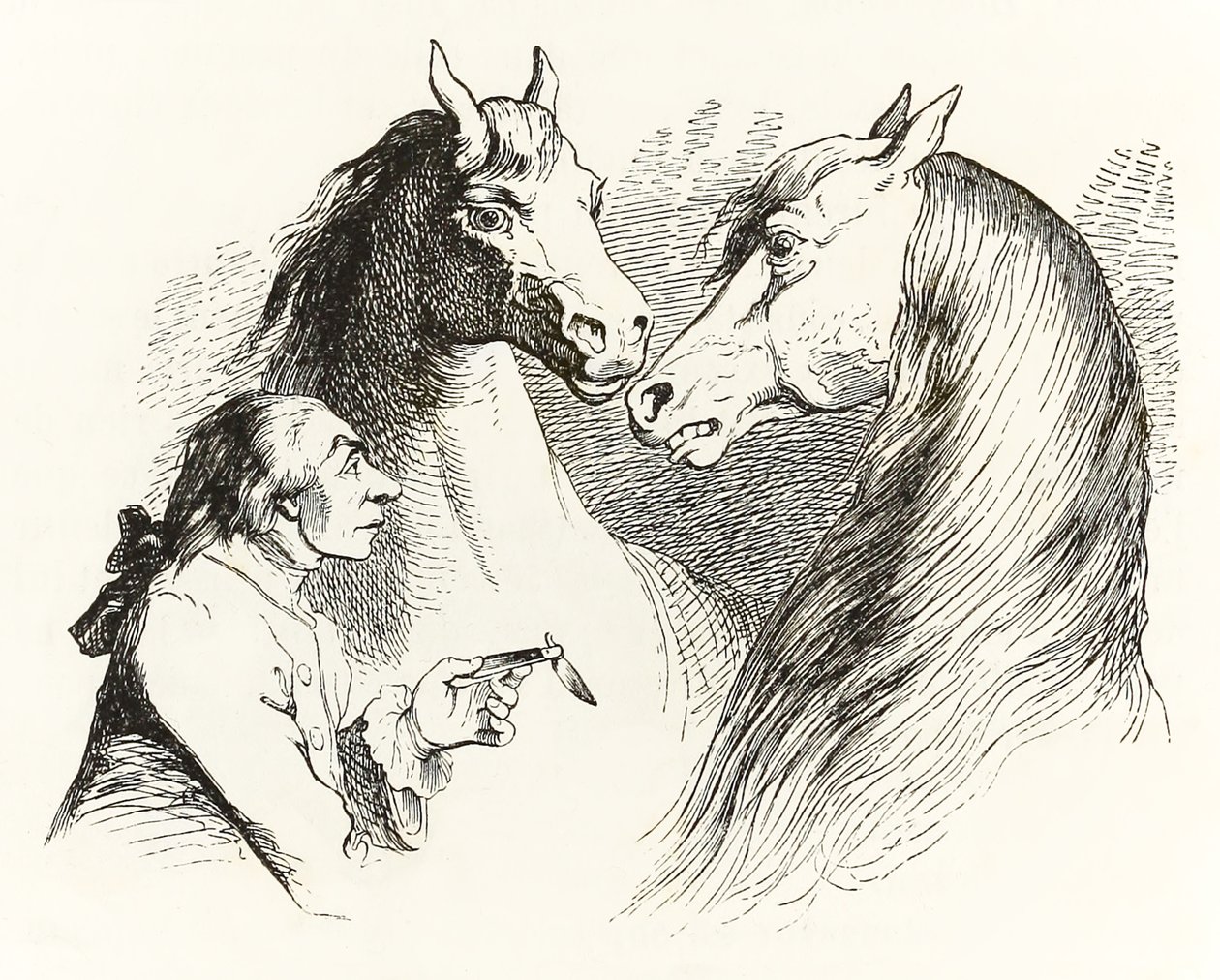 Gulliver conversa con cavalli parlanti nella Terra degli Houyhnhnms, dai Viaggi di Gulliver di Jonathan Swift da Grandville