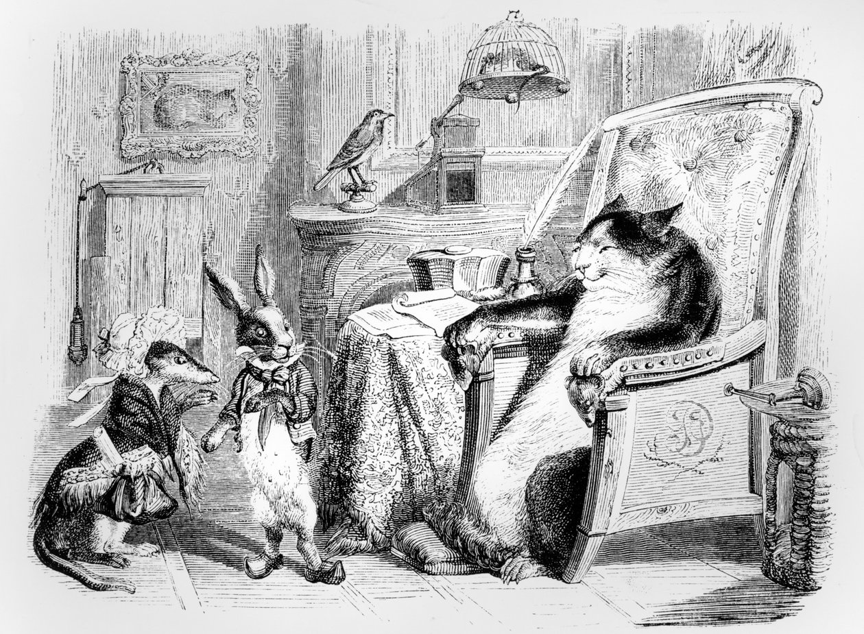 Il gatto, la donnola e il coniglietto, illustrazione per 