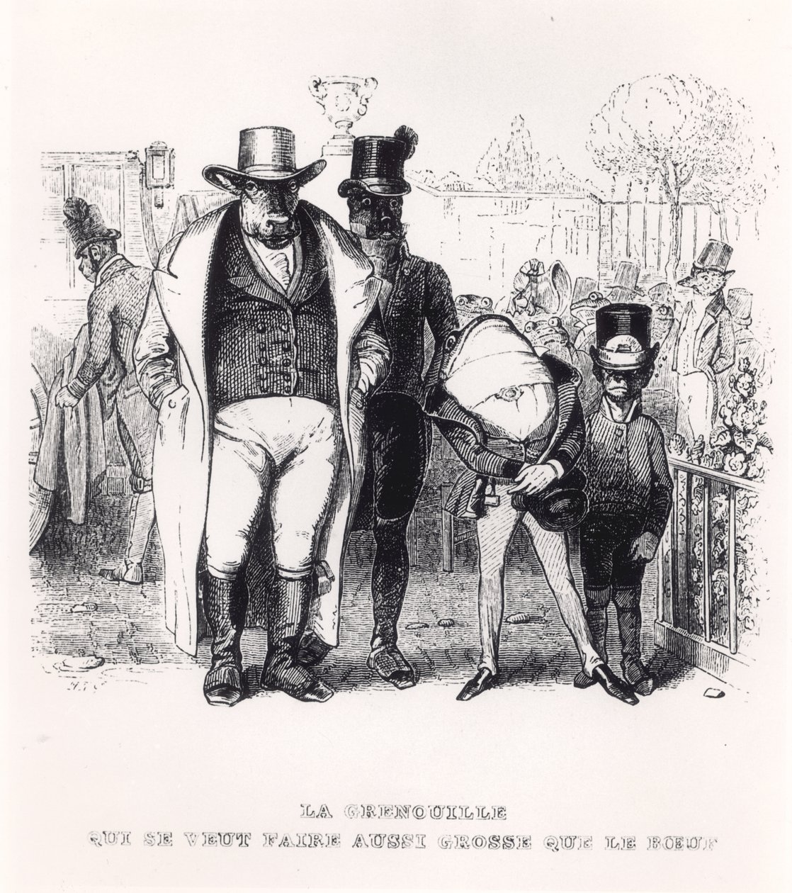La rana e il bue, illustrazione per 