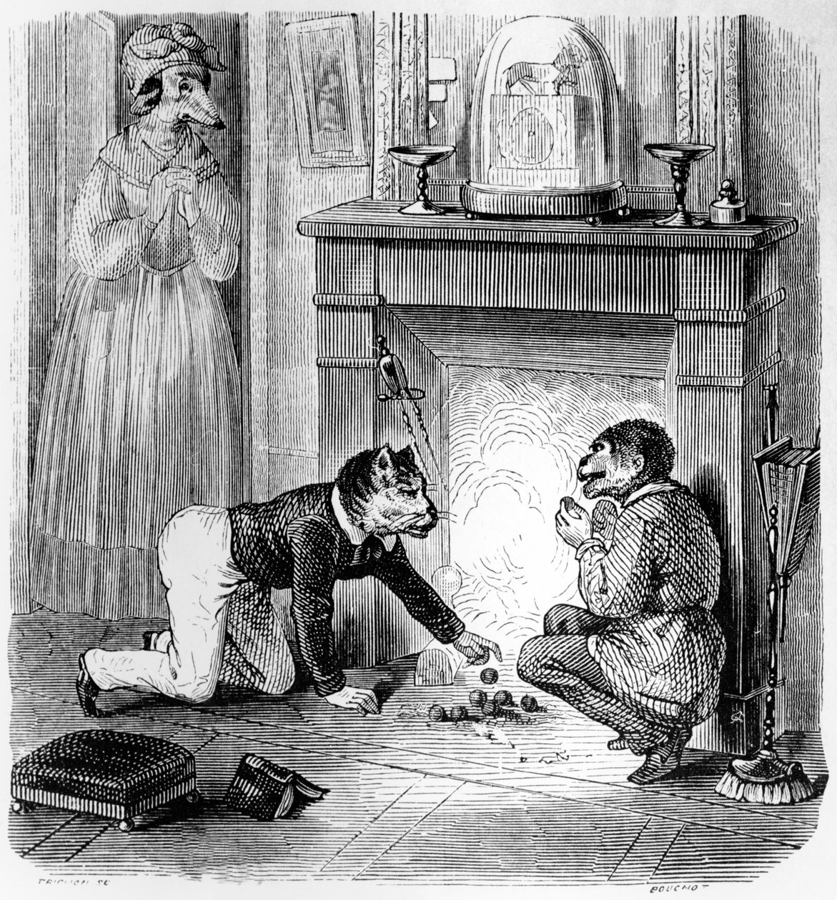 La scimmia e il gatto, illustrazione per 