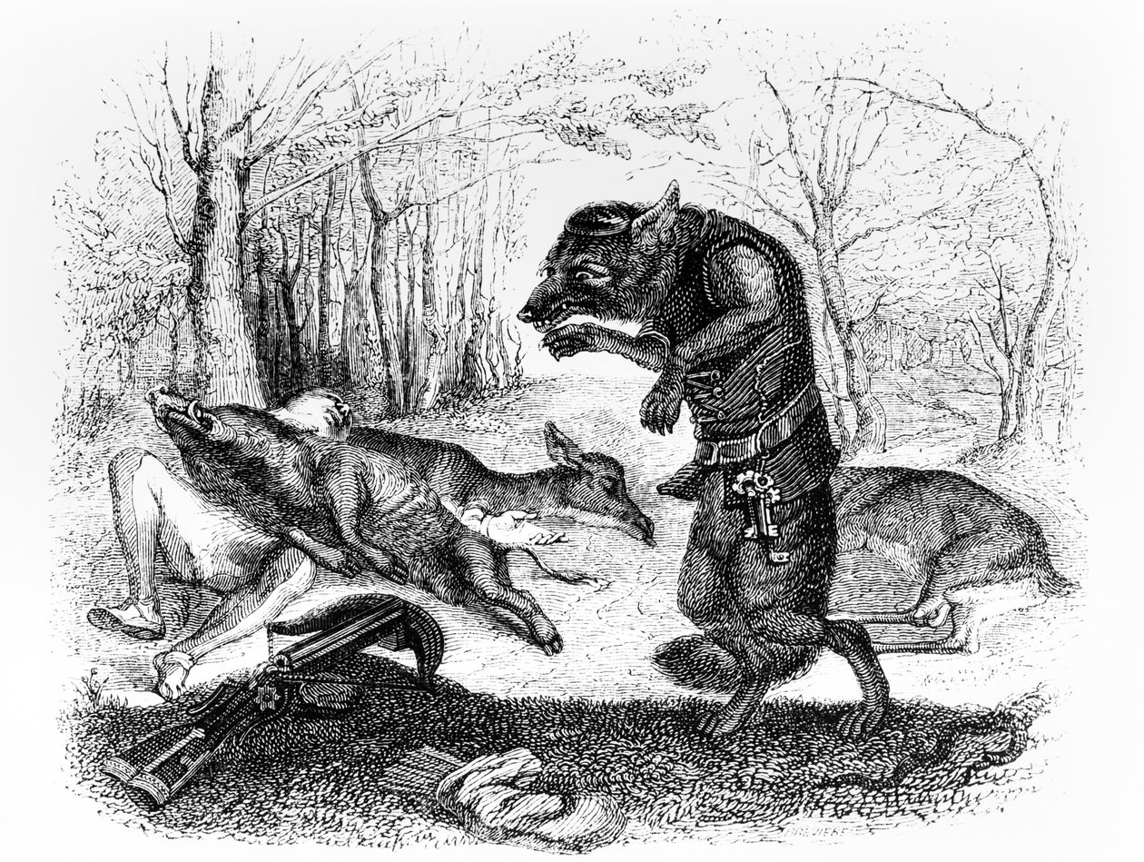 Il Lupo e il Cacciatore, illustrazione per 