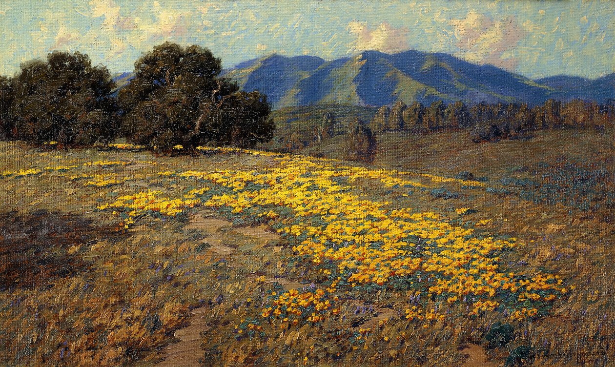 Papaveri della California da Granville Redmond