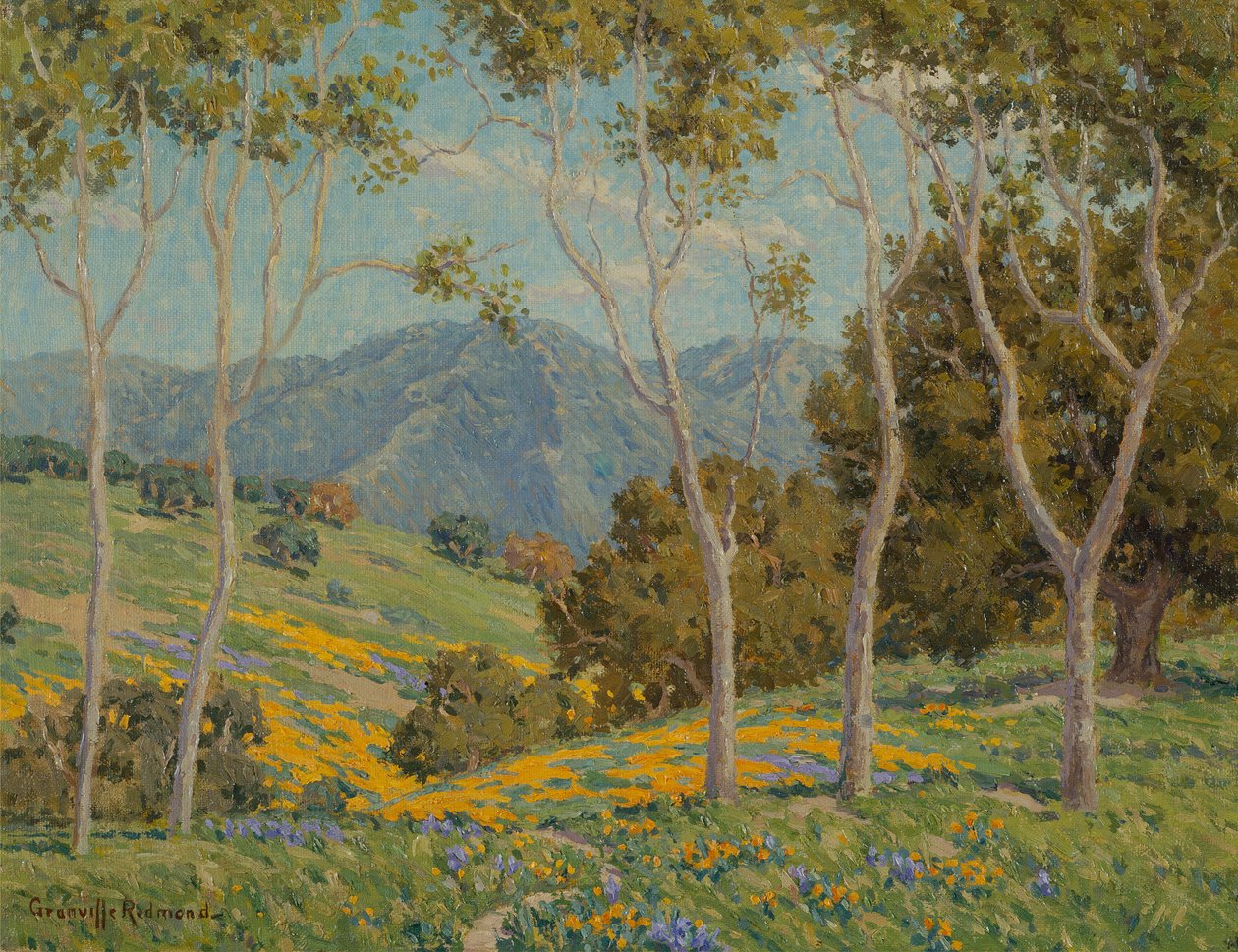 Papaveri ed eucalipto da Granville Redmond