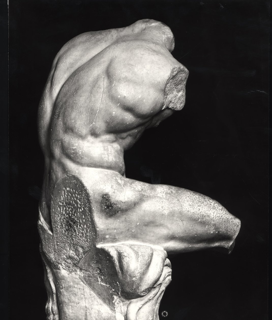 Torso del Belvedere (marmo) (foto b/n) da Greco Roman Greco Roman