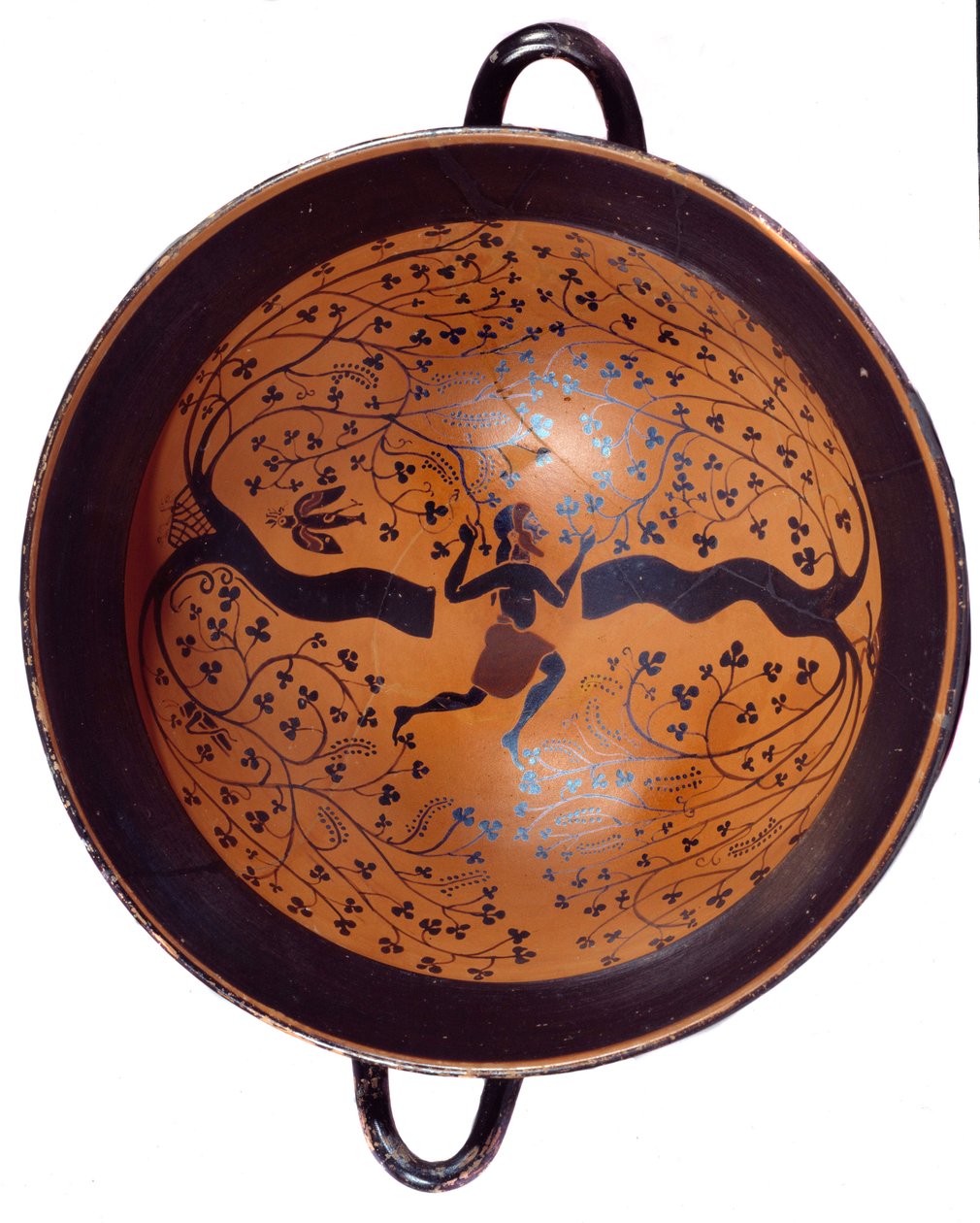 Arte greca: coppa ionica in ceramica con figure nere conosciuta come coppa con l