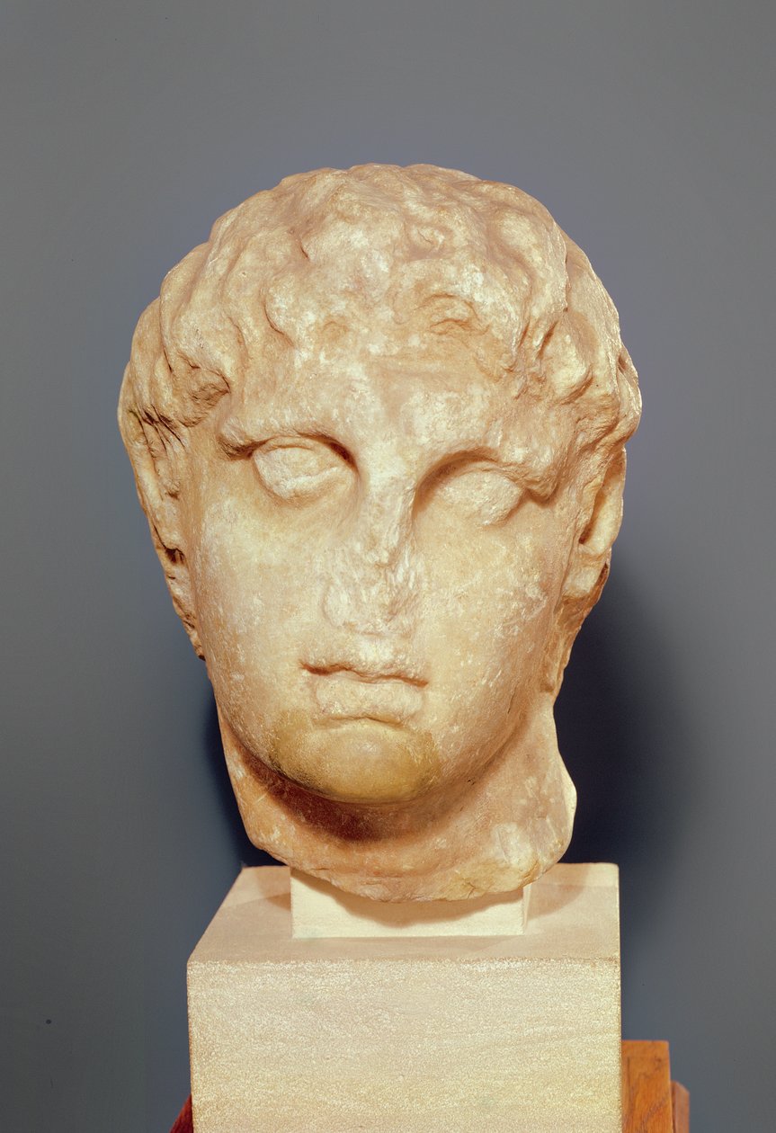 Testa di uno dei Diadochi o Testa di Alessandro III il Grande da Greek