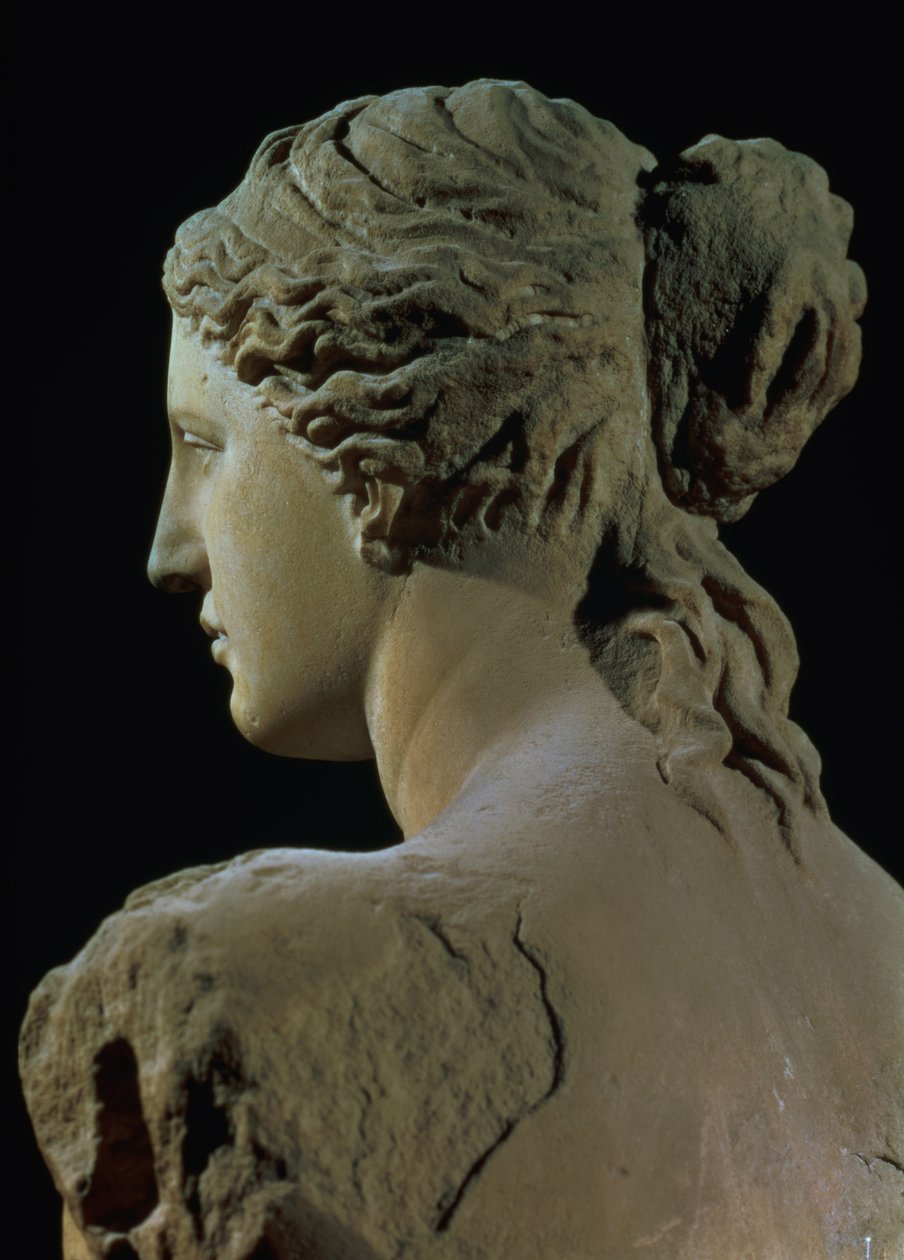 Venere di Milo, dettaglio del retro della testa, periodo ellenistico, c.100 a.C. (dettaglio) da Greek