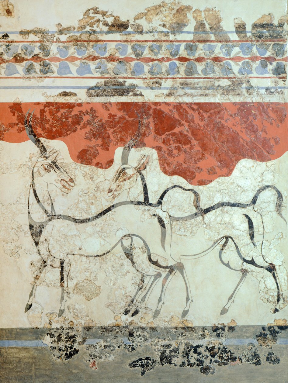Antilopi, affresco di Akrotiri, Thera (oggi Santorini), Grecia, Civiltà Minoica da Greek School