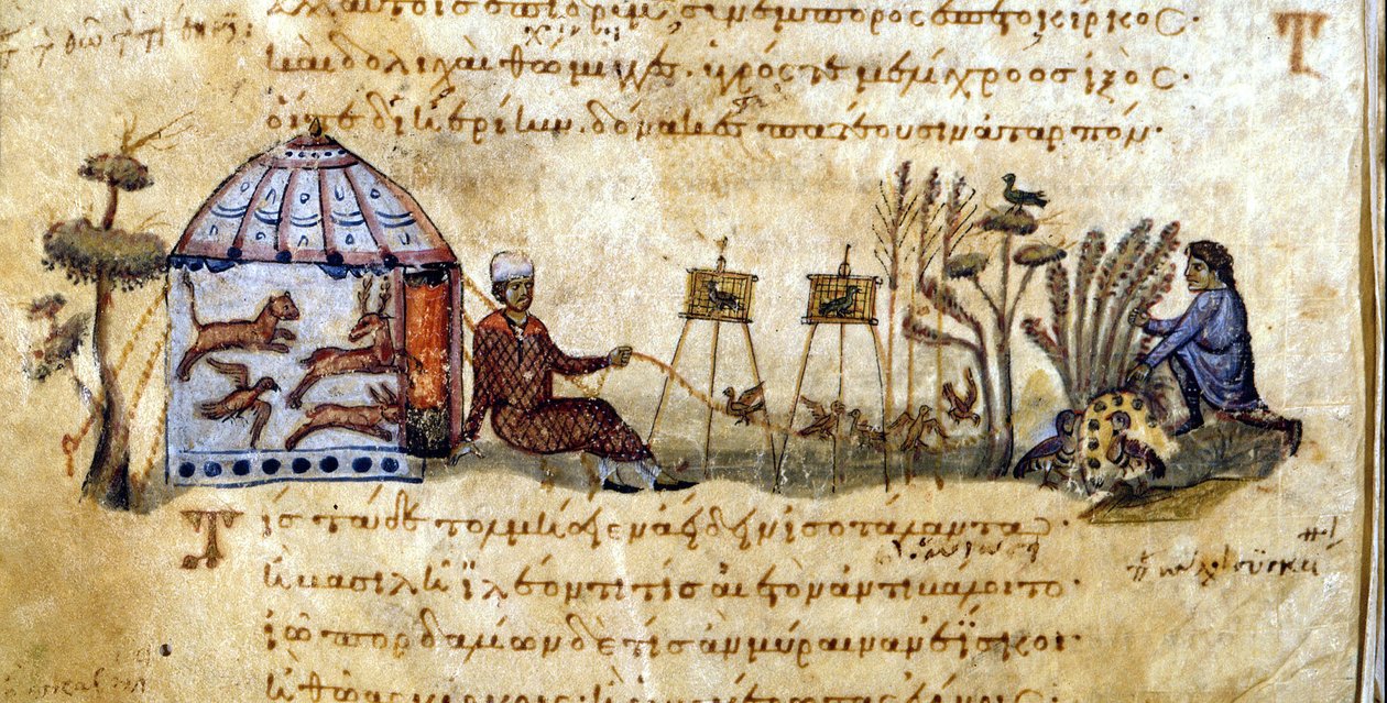 Uccelli da richiamo - in 