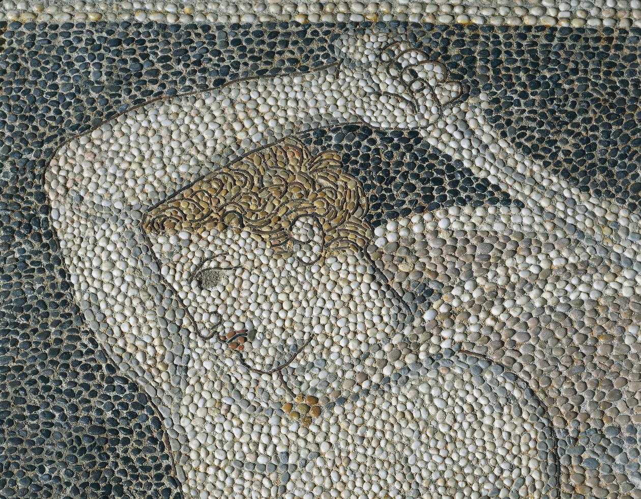 Cratero, c.320 a.C. (dettaglio) da Greek School