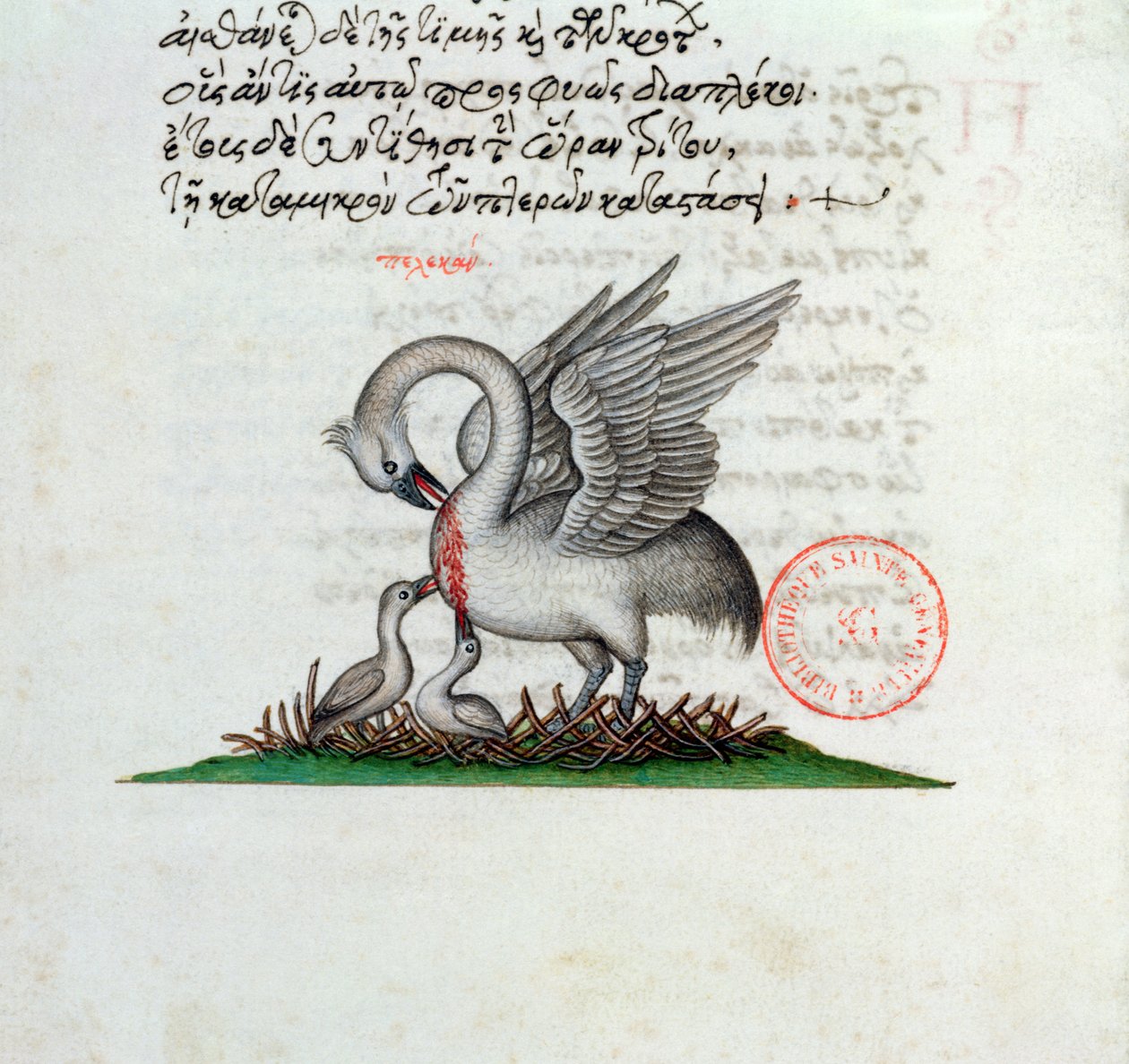 Un pellicano che perfora il suo petto per nutrire i suoi piccoli, da un Bestiario di Manuel Philes, 1566 da Greek School