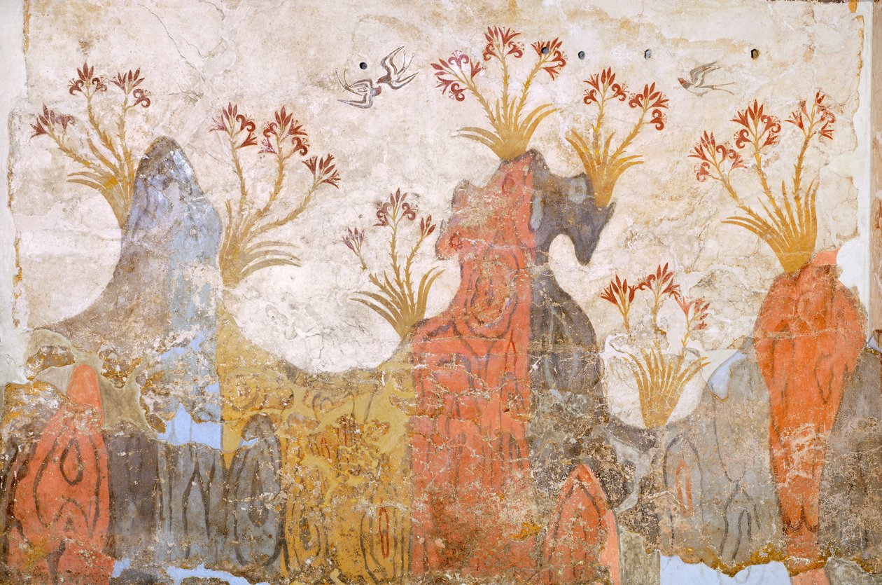 Stanza dei gigli o primavera, affresco di Akrotiri, Thera (oggi Santorini), Grecia, Civiltà Minoica da Greek School
