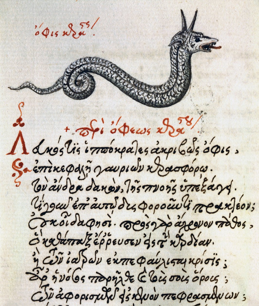 Trattato sul Basilisco, testo e miniatura da De animalium natura et proprietate libellus di Eliano da Greek School